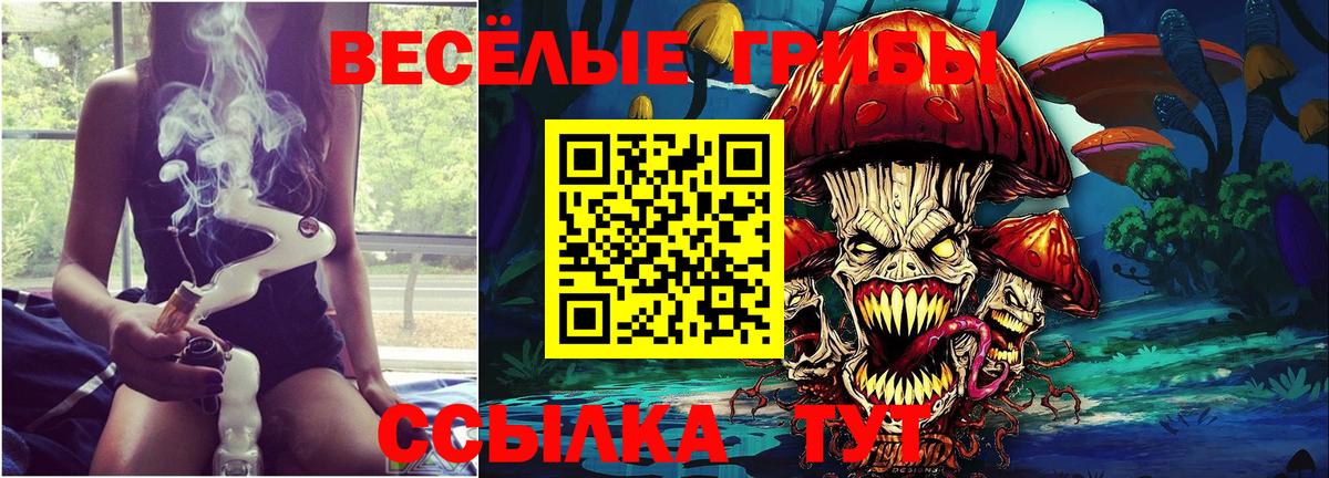 Псилоцибиновые грибы Psilocybe Кимры