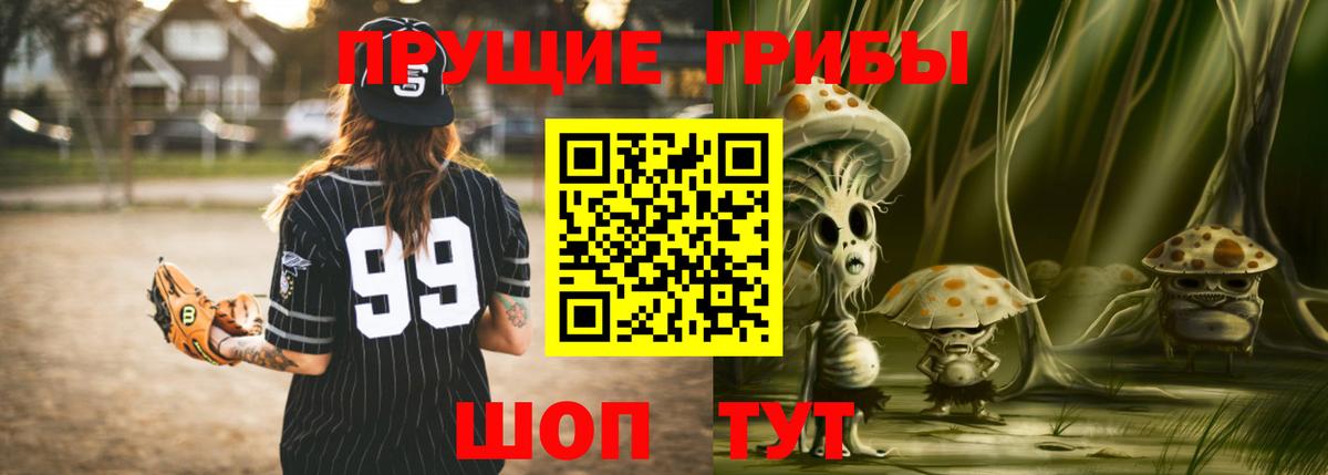 Псилоцибиновые грибы прущие грибы  Вход с VPN  Псилоцибиновые грибы мухоморы  Кимры 